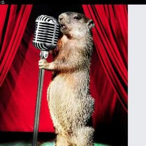 Meet your Posher, Gerry